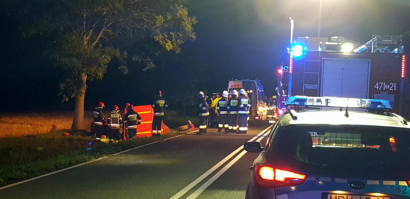 Wypadek w Zachodniopomorskiem. Auto uderzyło w drzewo. Zginęły 2 osoby