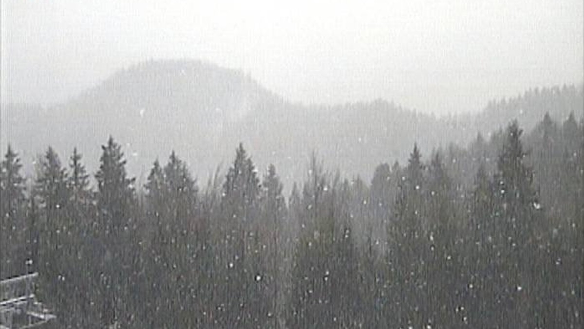 Stacja narciarska "SkiPark" w Ružomberoku położona jest na północnych skłonach pasma Wielkiej Fatry. Położona ok. 5 km od centrum miasta, leżącego na skrzyżowaniu głównych ciągów komunikacyjnych Słowacji, stanowi bardzo atrakcyjny teren do uprawiania narciarstwa zjazdowego narciarzy o różnych umiejętnościach - 9 wyciągów zapewnia duży wybór tras o długości od 150 m do niemalże 4 km.