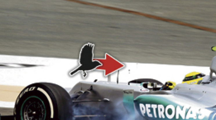Michelisz után Rosberg is szárnyassal ütközött