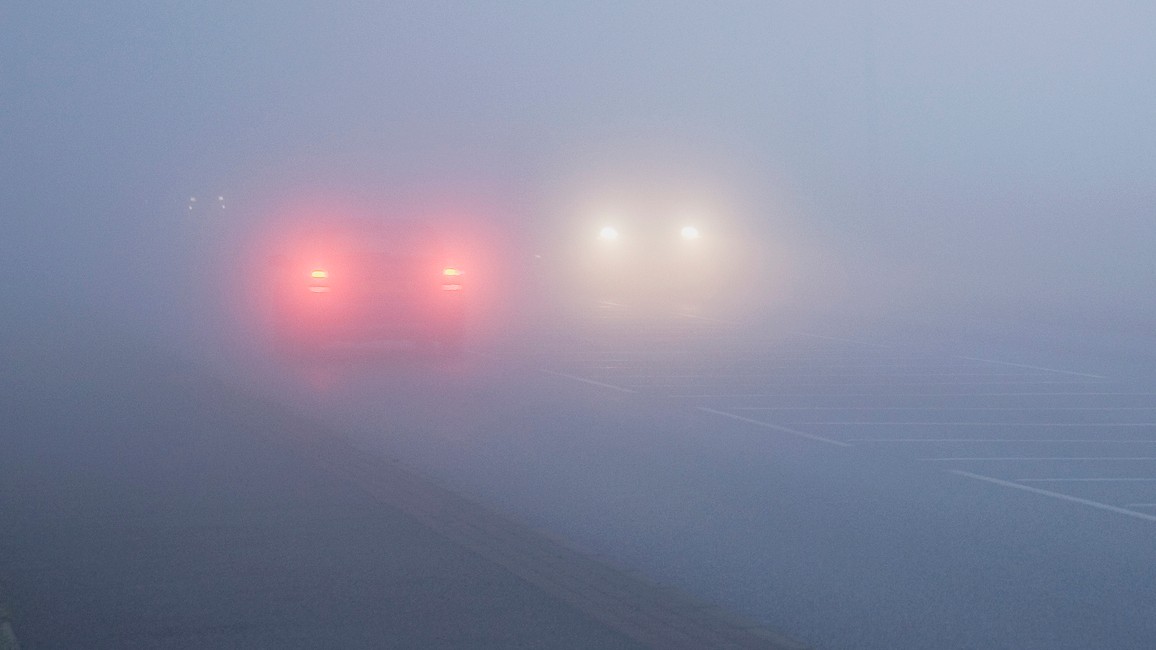 Hmla potrápi väčšinu územia Slovenska. (ilustračné foto).