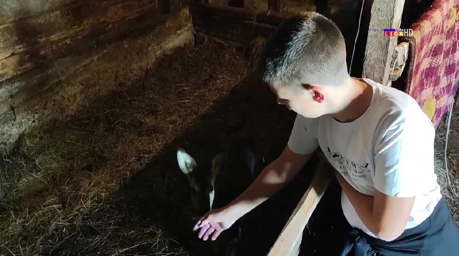 Bambika, neobičan ljubimac Nikole iz Ivanjice