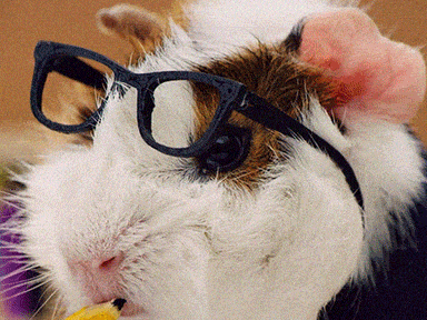 Ma ideális a nap a tanulásra - Egymondatos horoszkóp - október 14. péntek