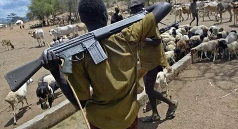 Armed Fulani herder. (Kasapafmonline)