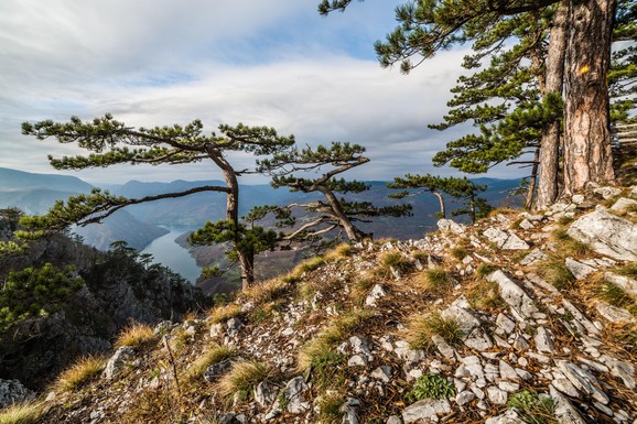 Parče raja pod UNESCO zaštitom na prodaju: Plac je na 1,5 km od centra Žabljaka, evo zašto može biti dobra investicija