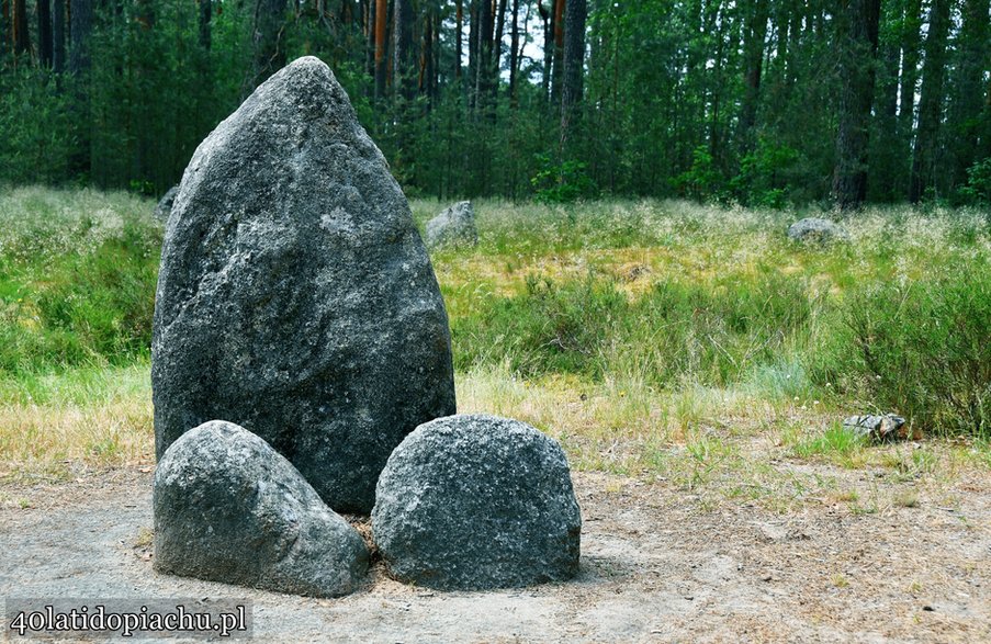 Rezerwat Kamienne Kręgi w Odrach