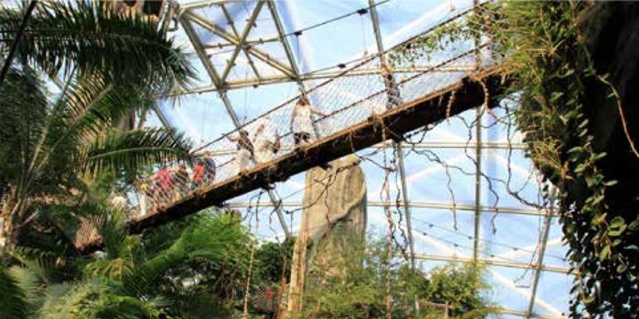 the-domes-will-come-with-more-than-300-plants-that-are-endangered-species-essentially-turning-the-place-into-a-conservation-project-as-well-employees-will-be-able-to-work-hard-and-get-to-enjoy-some-green