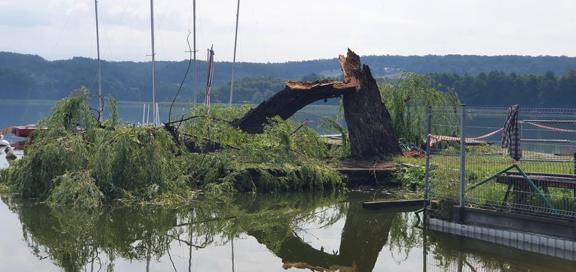 Potężna burza nad Chodzieżą, duże zniszczenia. Burmistrz: Alertu RCB nie było. Był tydzień temu w sprawie wyborów