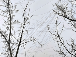 Wygląda jak sieć wielkiego pająka. Nowa taktyka Rosjan to problem dla Ukraińców