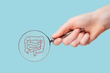 To, co dzieje się w jelitach, może decydować o zdrowiu serca