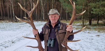 Rusz do lasu po poroże. Płacą nawet 80 zł za kilogram