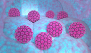 Wirus HPV - powoduje sześć rodzajów raka. Zakażenie dotyka nawet 80 proc. dorosłych