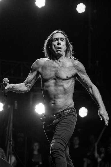 OFF Festival 2012: Iggy Pop &amp; The Stooges (fot. Monika Stolarska / Onet)