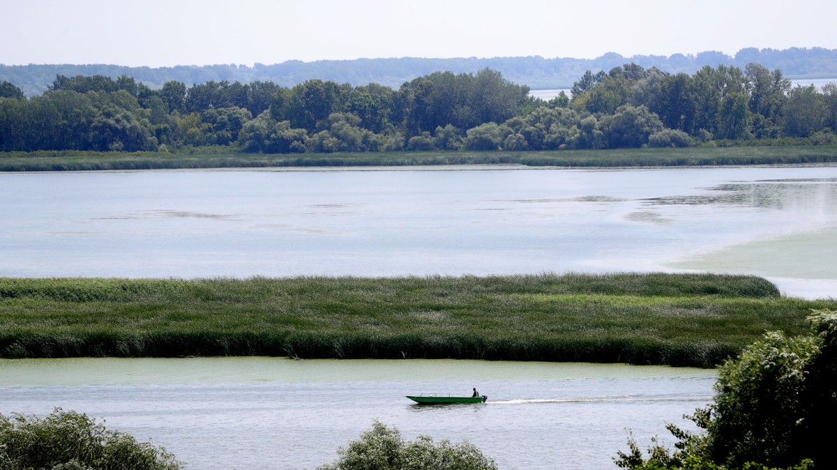Elképesztő kincsekre bukkantak a Tisza-tónál: egy elhunyt tartotta a kezében őket – fotók