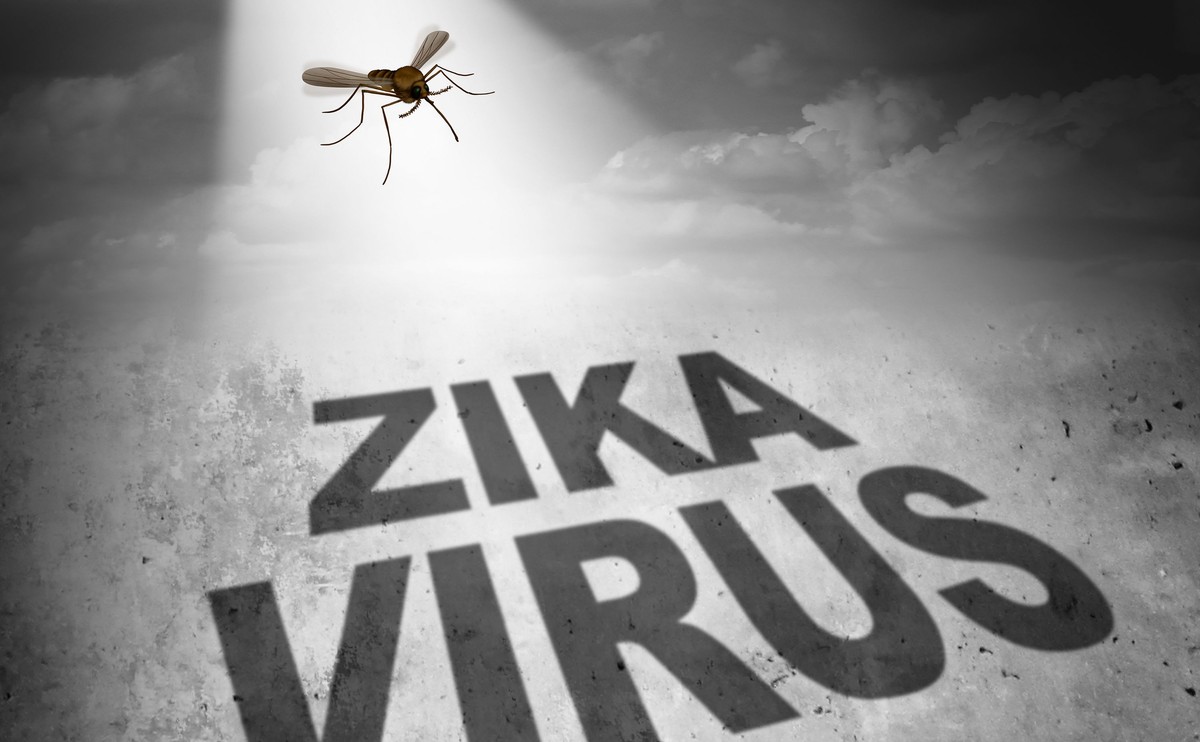 Jak wygląda walka z wirusem Zika w Ameryce?
