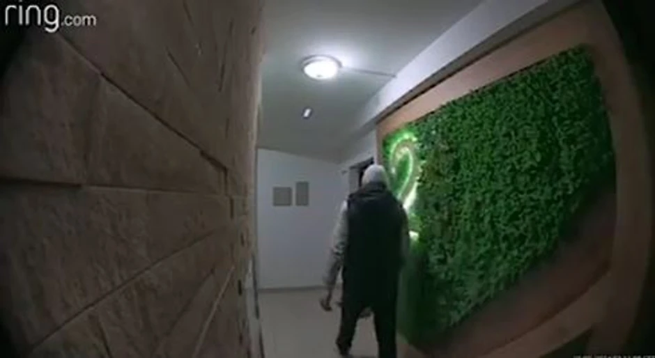 Fantom sa Detelinare