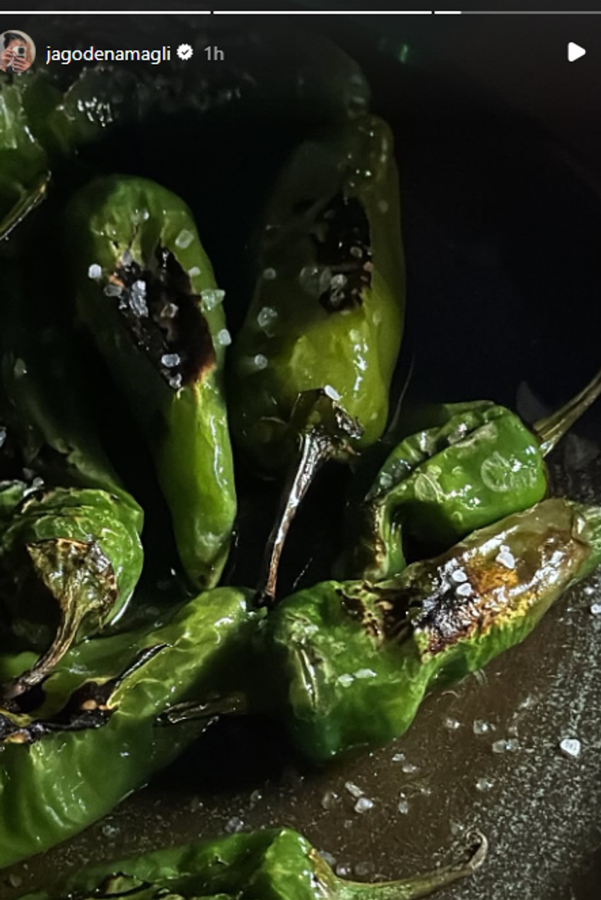 Jelisaveta Oršanin, objava