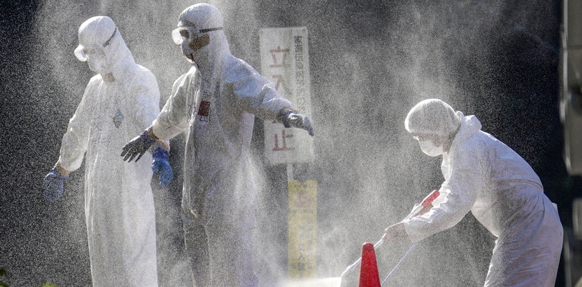 Ptasia grypa znowu atakuje. Koszmar w Japonii