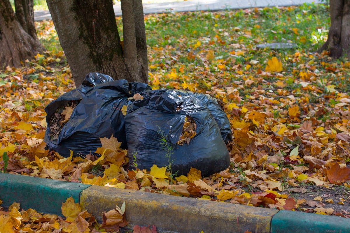 Przestroga dla właścicieli domów. choćby 5 tys. zł kary za zalegające liście