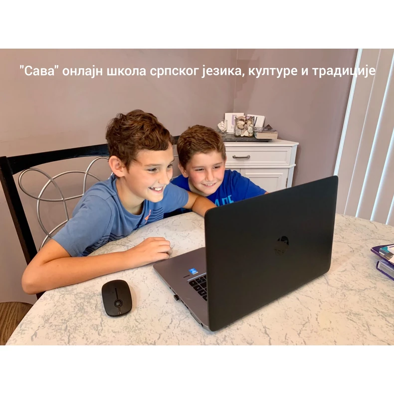 Onlajn škola srpskog jezika