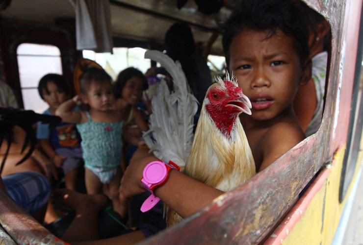 Filipińczycy poszkodowani po przejściu tajfunu Haiyan