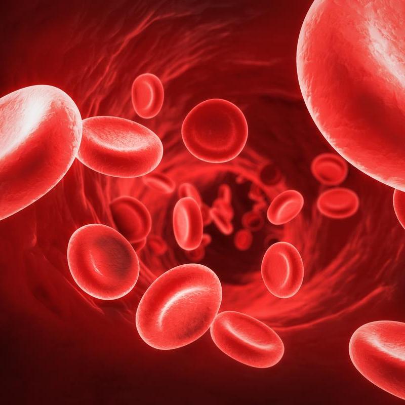 Erytrocyty (czerwone krwinki) - norma, budowa, funkcja, choroby [WYJAŚNIAMY]