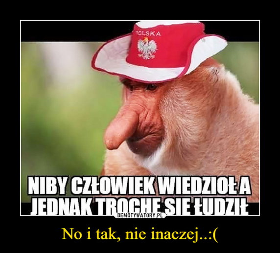 Memy z Polakami i ich udziałem w Euro 2020