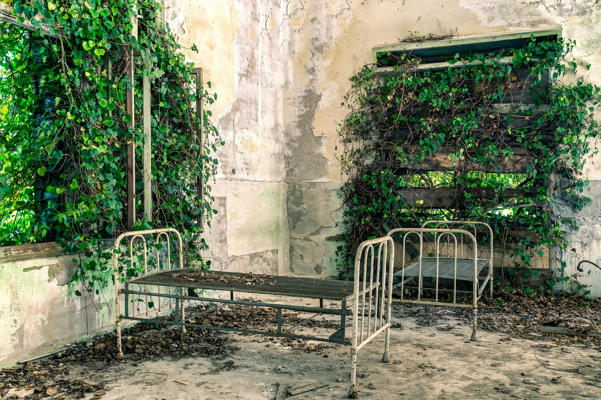 Ostrov Poveglia je v súčasnosti úplne opustený.