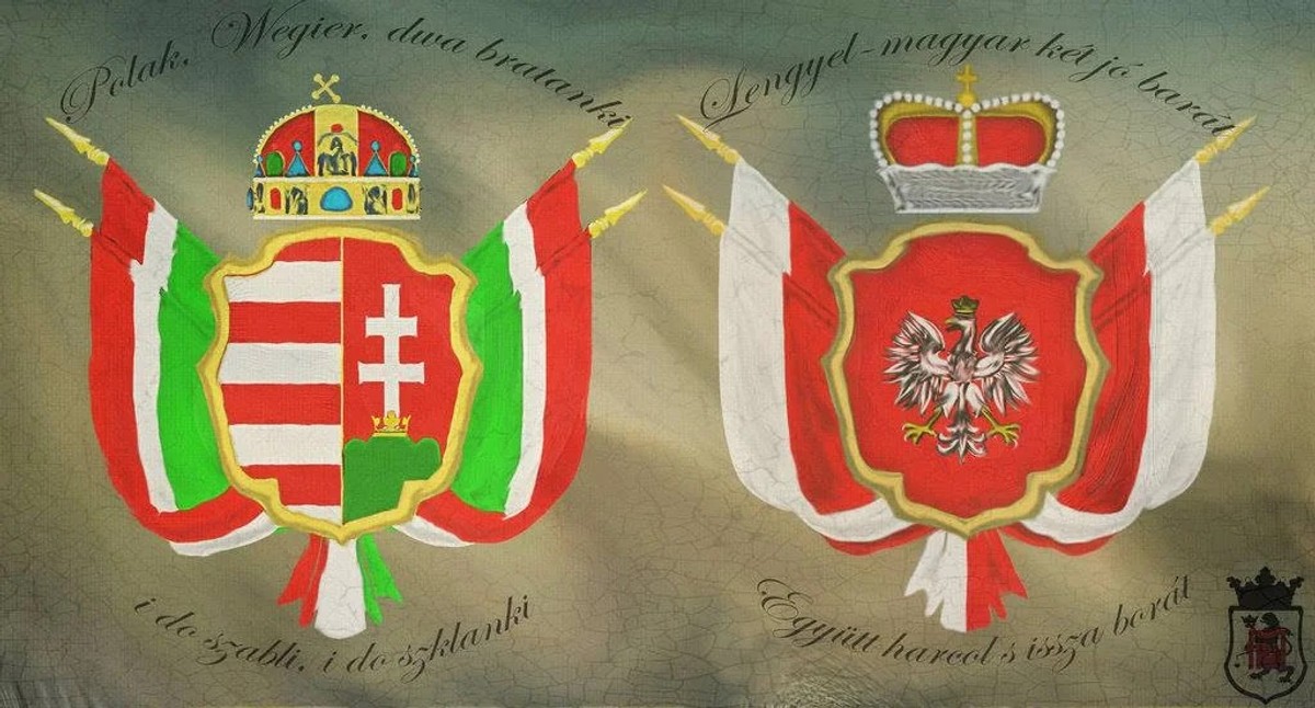 Kilkudziesięciu polskich i węgierskich historyków podpisało się pod wspólnym stanowiskiem, krytykującym planowane zmiany w programie nauczania szkół podstawowych w Polsce.