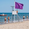 šta predstavlja ljubičasta zastava na plaži
