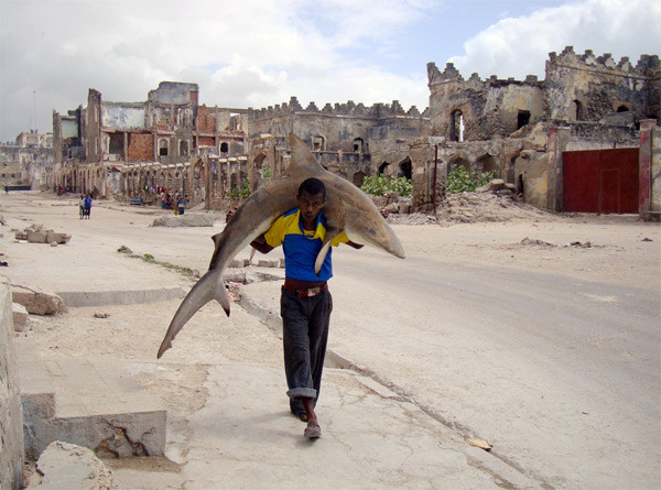 Feisal Omar, Somalia