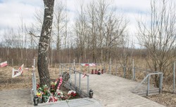 Obalał tezy o zamachu w Smoleńsku, kolejnej opinii już nie napisze. Ekspert zrezygnował