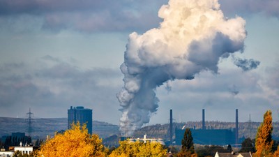 The carbon credit markets have become key to the race to net zero.edg3D/Getty Images