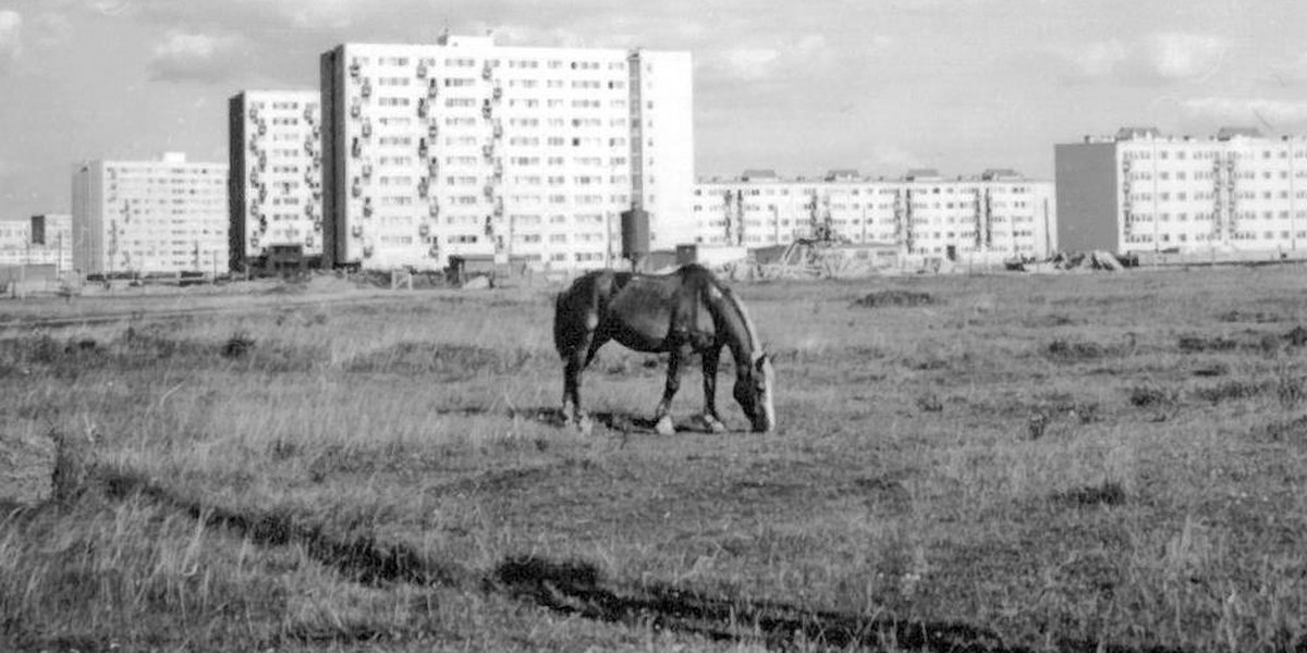 Uratowane ze śmietnika: Archiwalne zdjęcia Bielan i Żoliborza bezpieczne