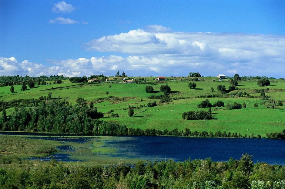 Pašnjaci na jednom od ostrva