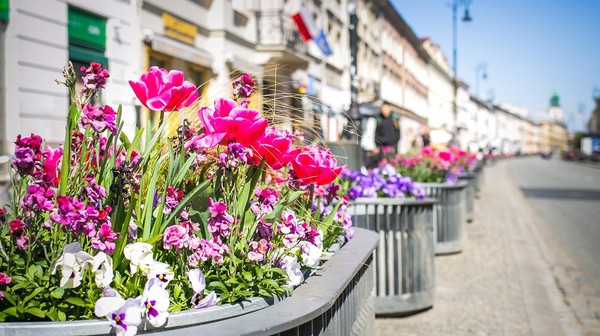 Dzięki kwietnikom hybrydowym sezonowe kwiatowe kompozycje są nie tylko mniej kosztowne, ale też cały czas atrakcyjne.