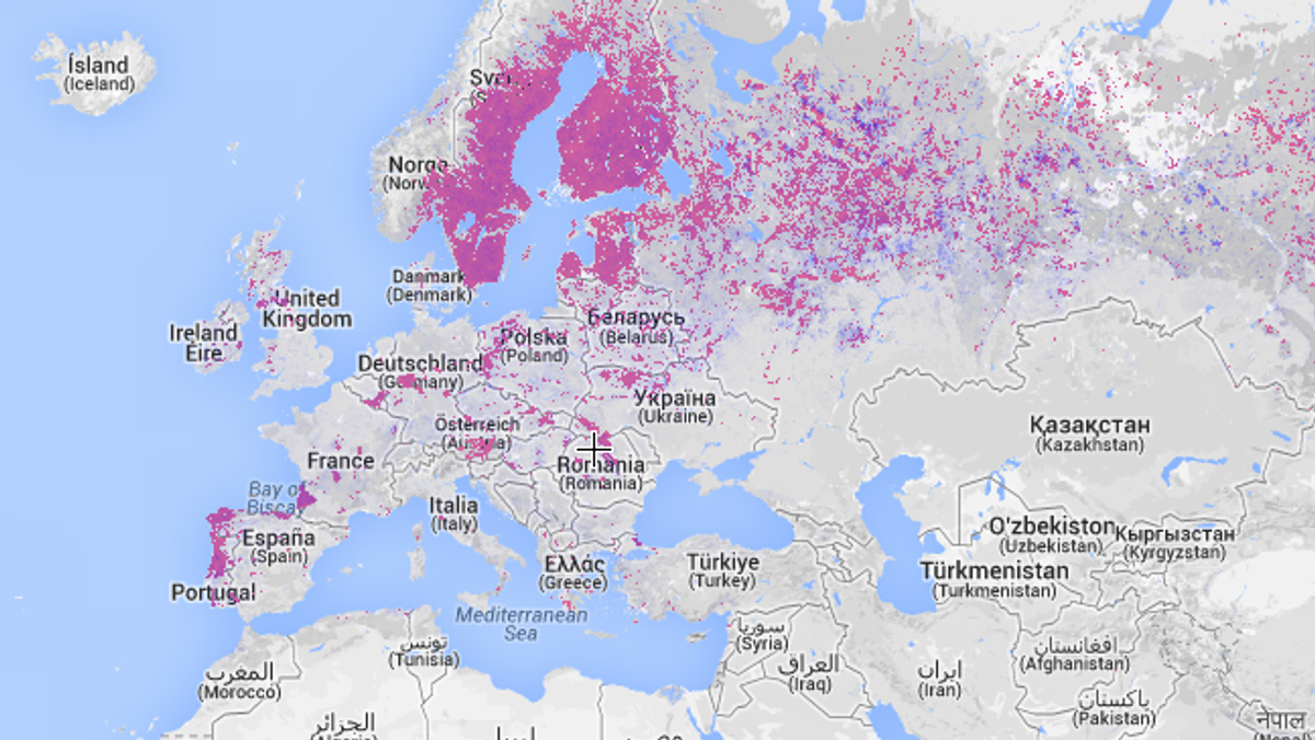 Global Forest Watch lasy mapa