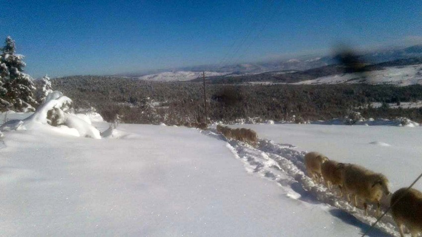 Zavejan put preko Jabuke