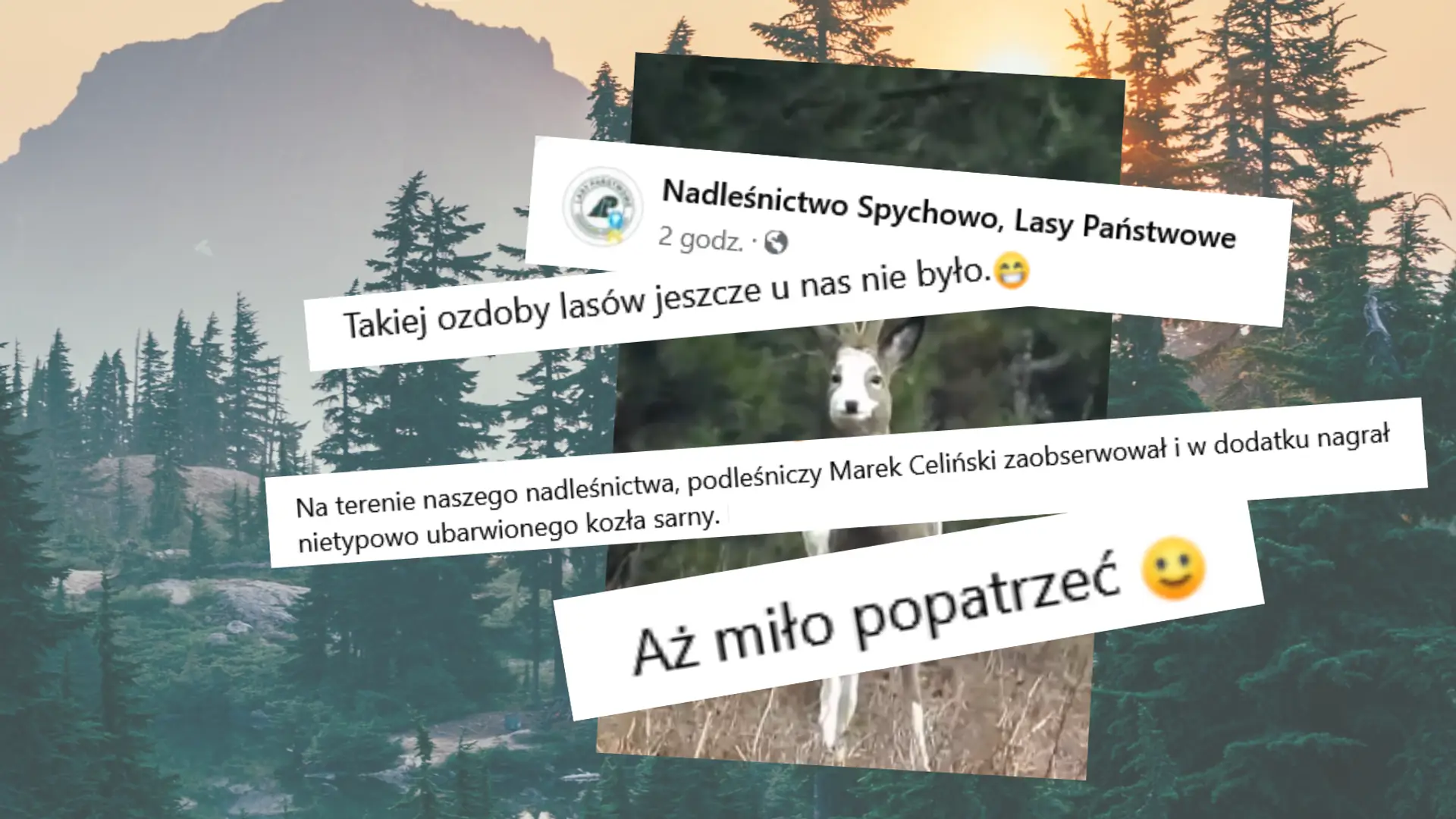 Gdy go zobaczył, od razu wyciągnął aparat. To zwierzę to unikat