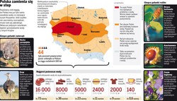 W Polsce zaczyna brakować wody