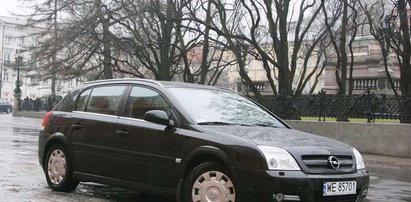 Opel Signum: klasa wyższa  w... niższej cenie