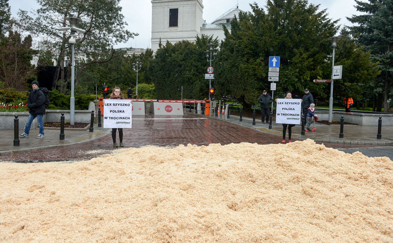 Kopiec trocin został rozsypany na ulicy Wiejskiej przed wjazdem do gmachu Sejmu