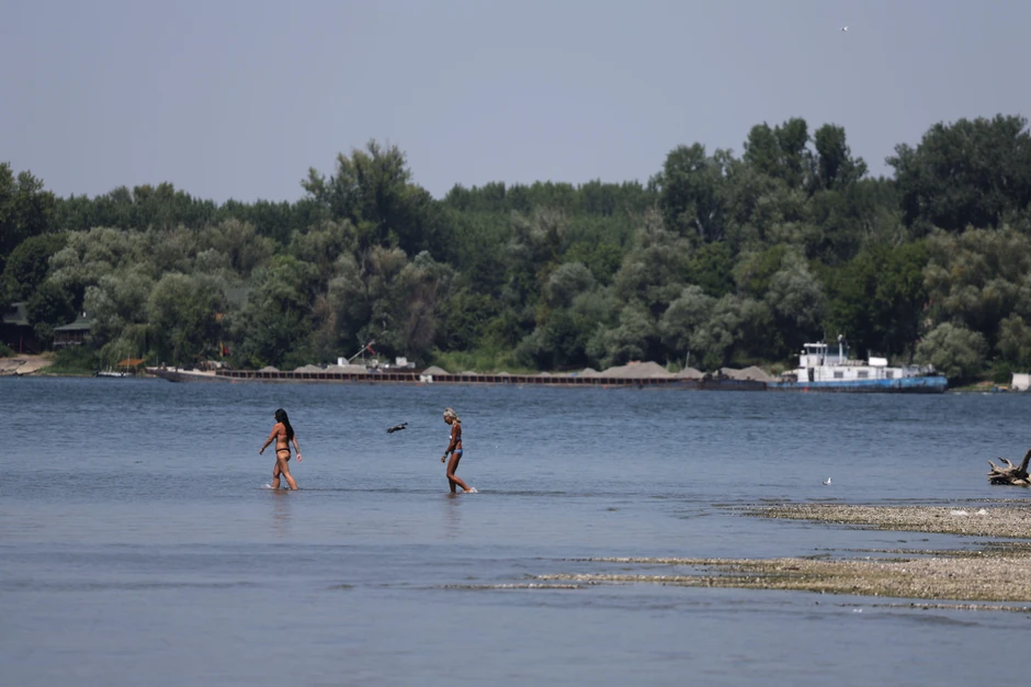 Dunav u Beogradu početkom avgusta 2026. | Foto: ANDREJ CUKIC/EPA/Shutterstock