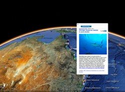 Zwiedzaj ocean z Google