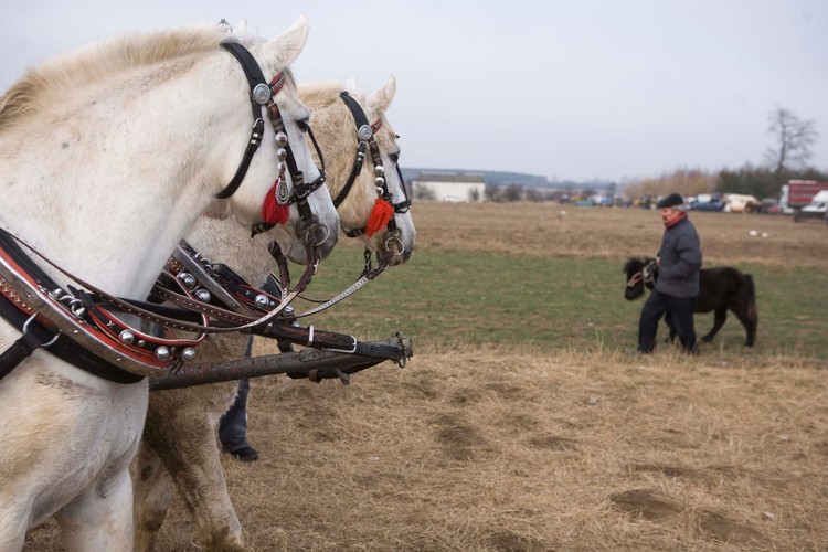 'Asortyment' jak widać jest bogaty