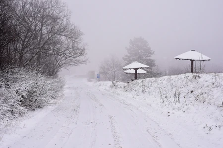 fruška gora prvi sneg 