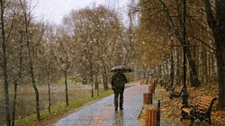 Silny mróz, burze śnieżne i niespodziewana odwilż [Prognoza pogody dla Polski]