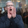 Sprzedaż iPhone'ów nadal w górę. Apple pobiło oczekiwania i ogłosiło ważną decyzję dla inwestorów