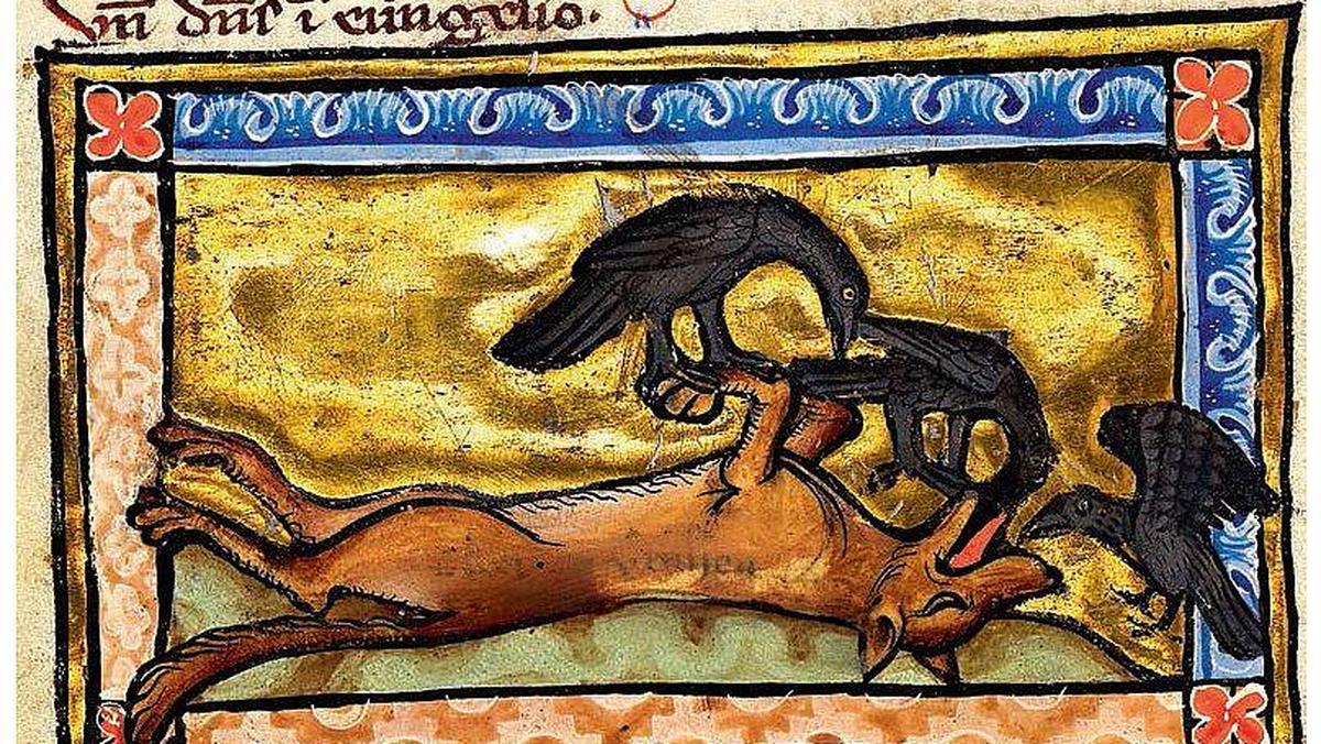 Lis udający martwego, Bestiariusz z ok. 1270 (Los Angeles, J. Paul Getty Museum).