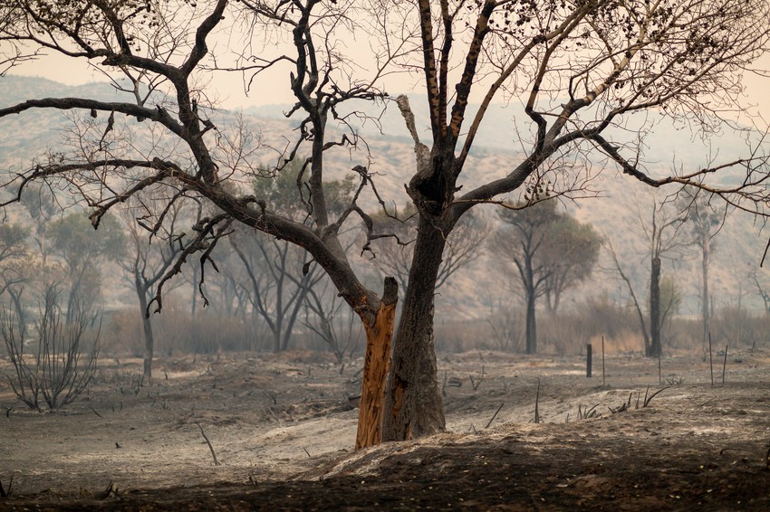 Požari u Kaliforniji