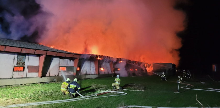 Ogromny pożar w Glinicy. Spłonęło 20 tys. kurczaków [ZDJĘCIA]